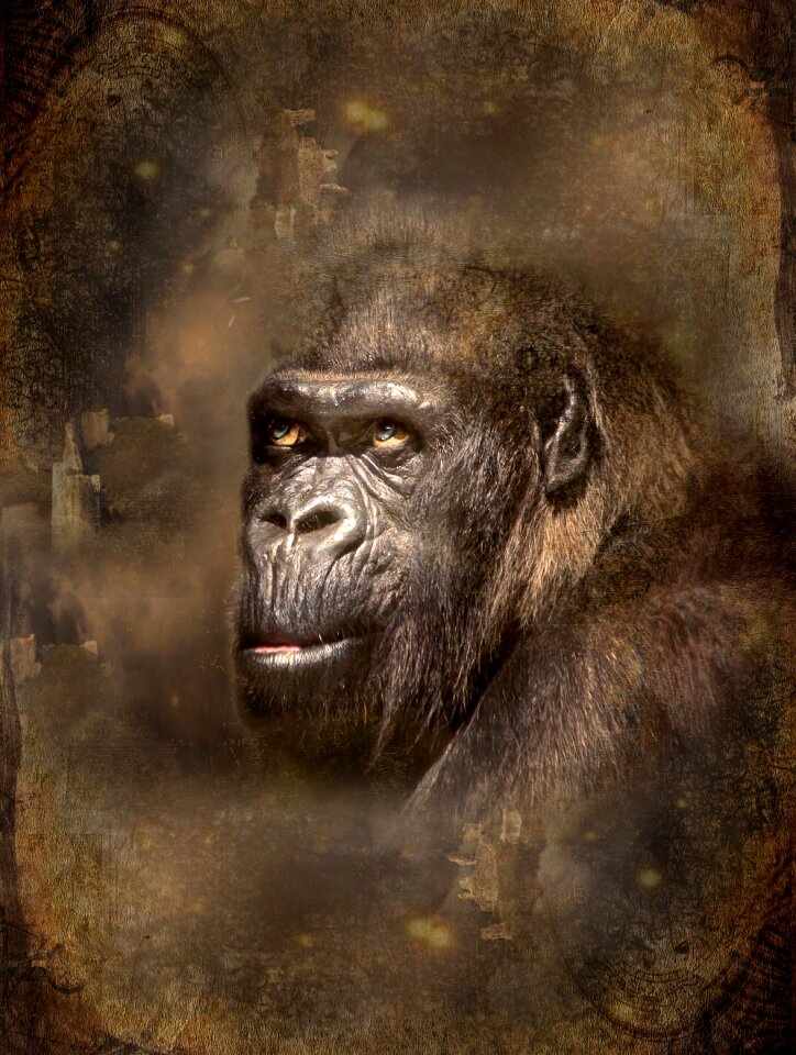 Vintage natural animal