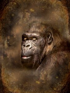 Vintage natural animal