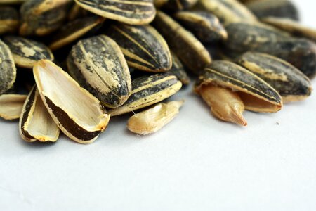 Feed plant vitamin health