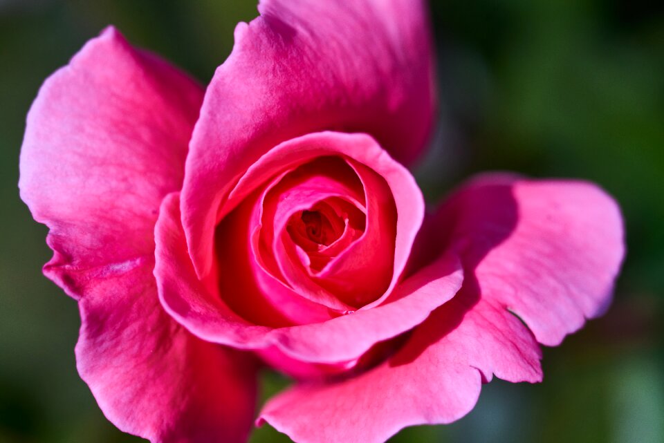 Beautiful love romantic