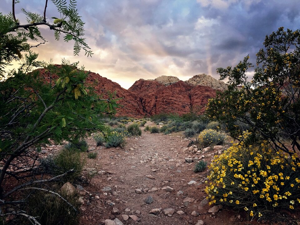 Red rock red rock canyon mountains