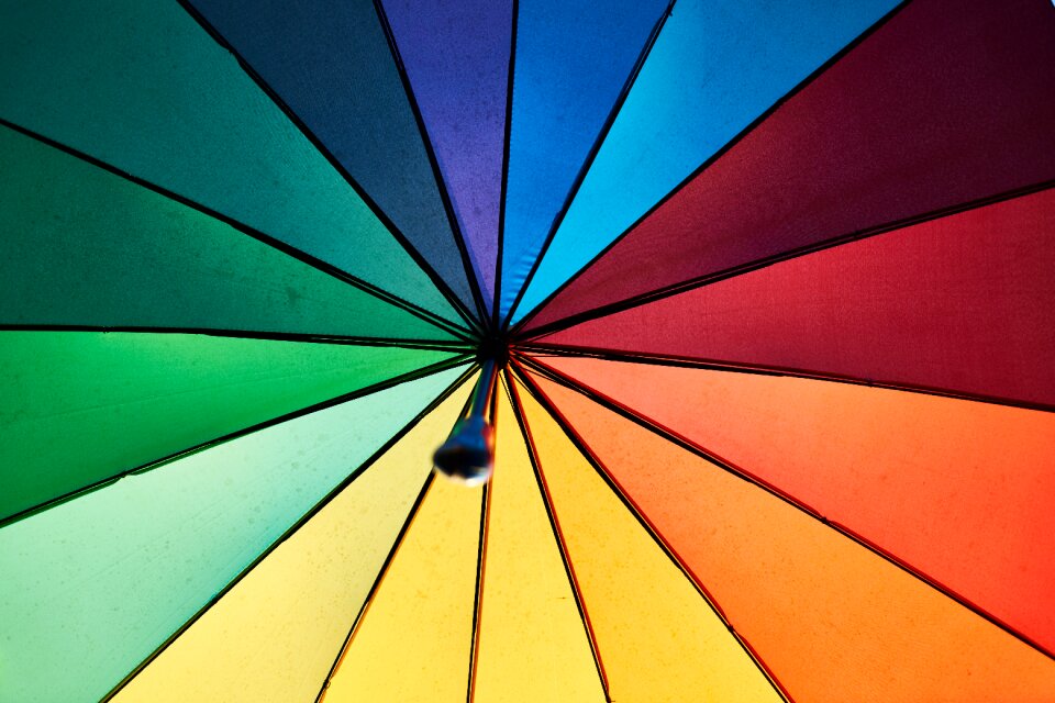 Umbrella sun visor rain
