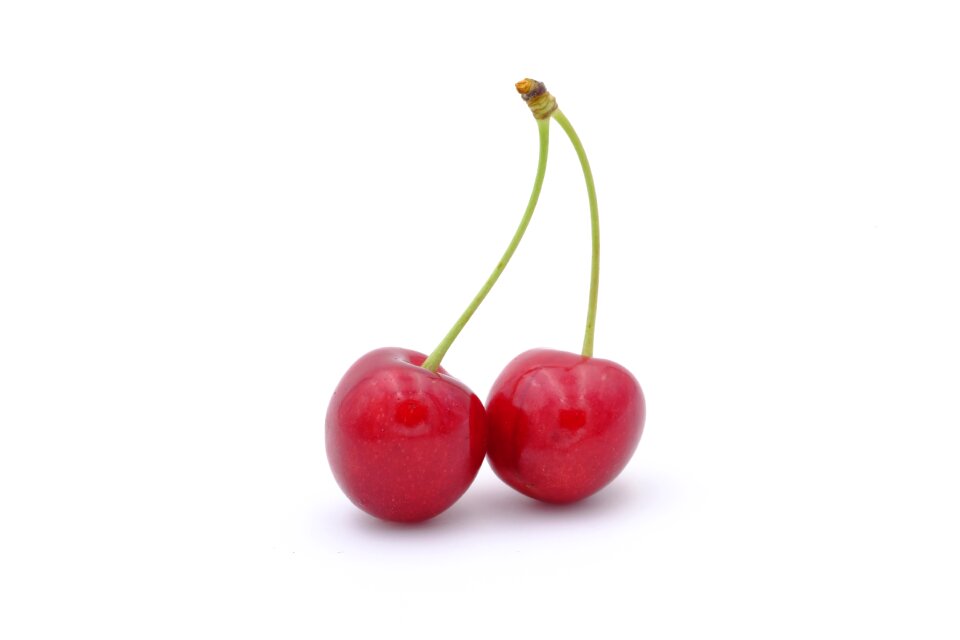 Prunus avium stalk connected