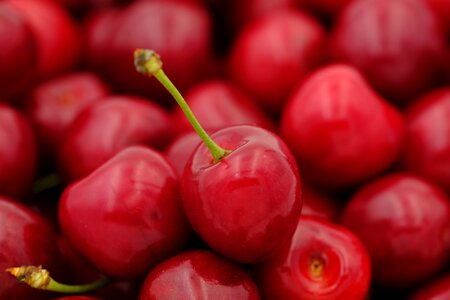 Prunus avium stalk fruit