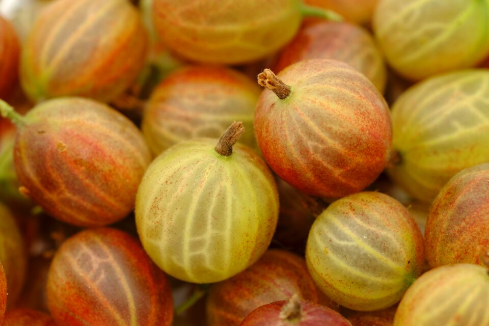 Fruit fruits vitamins