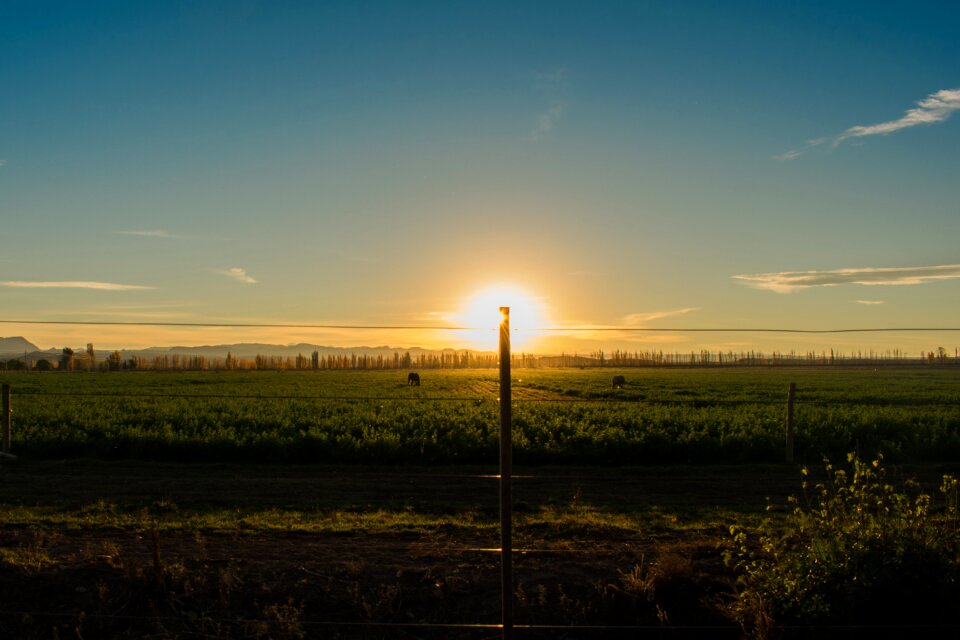 Sky red sun field