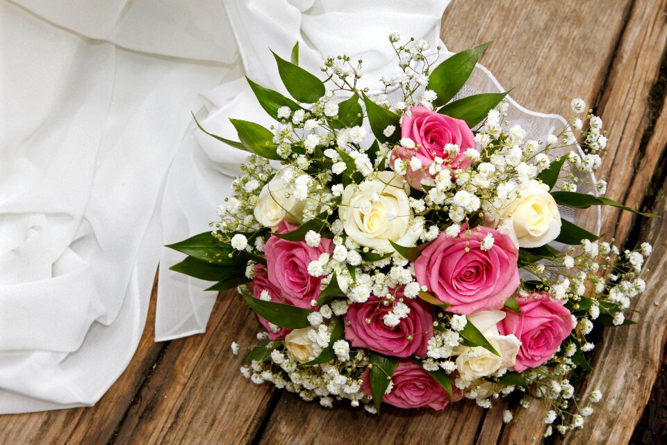 Flowers roses pink