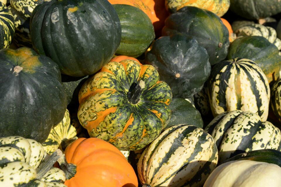 Autumn harvest thanksgiving