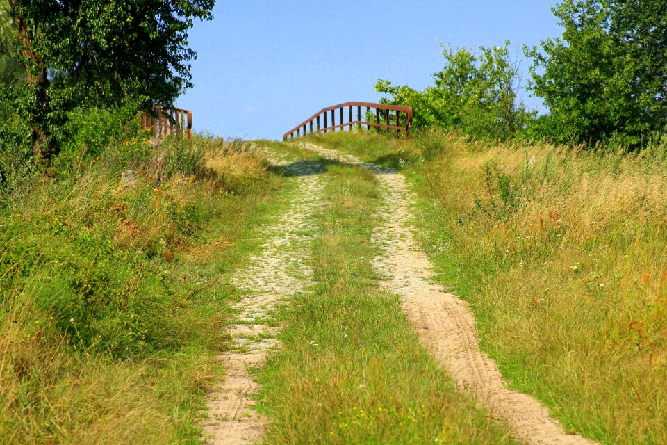 Nature the silence the path