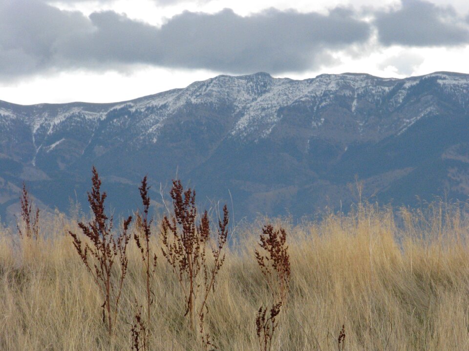 Mountain rocky mountains montana