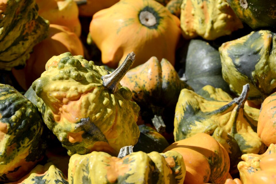 Autumn harvest thanksgiving