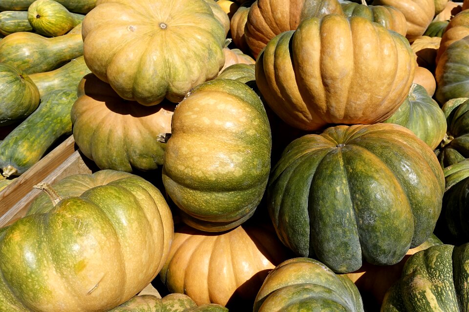 Autumn harvest thanksgiving