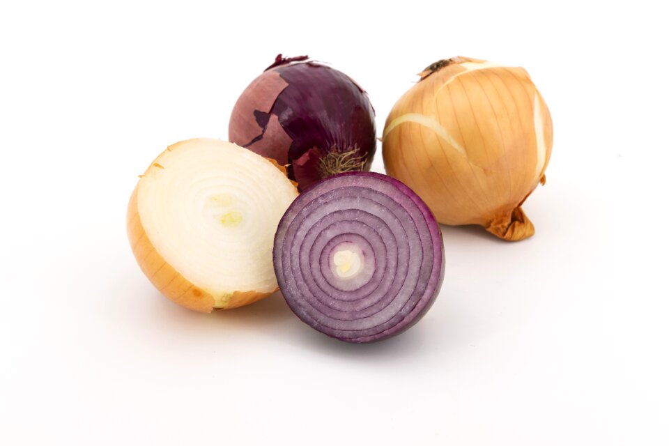 Bolle zipolle cream onion