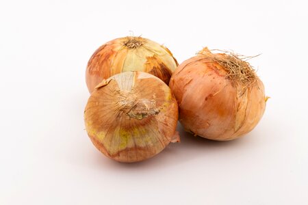 Onions bolle zipolle