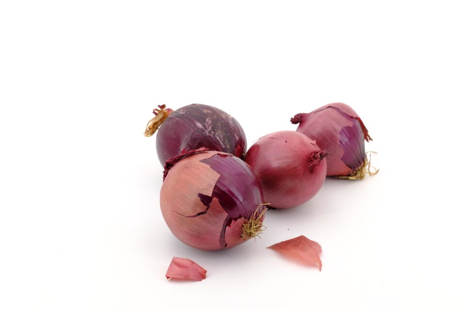 Onions bolle zipolle