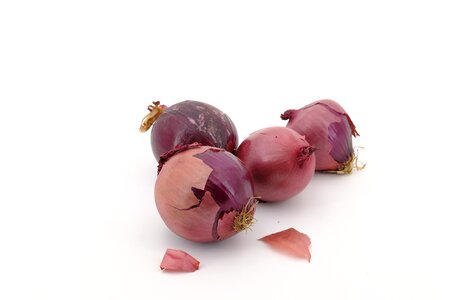 Onions bolle zipolle