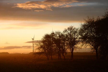 Sunset trees windmill photo