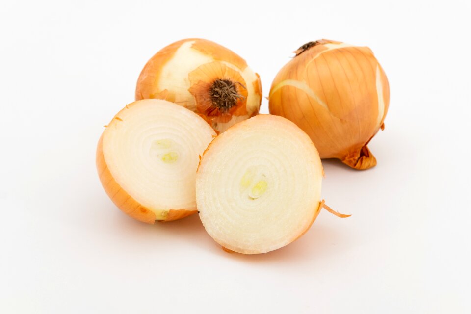Bolle zipolle cream onion