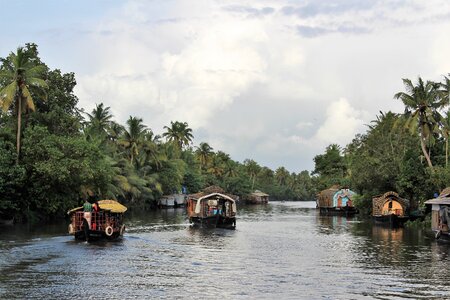 Houseboats backwaters kerala photo