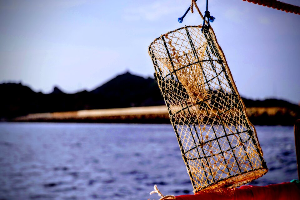 Fishing nasse porto