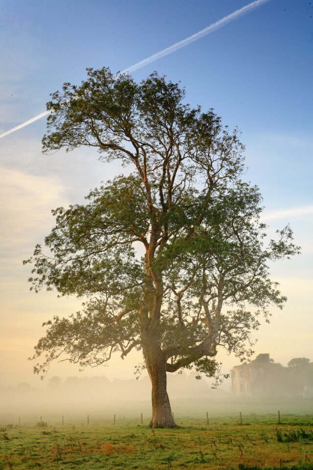 Landscape haze mood