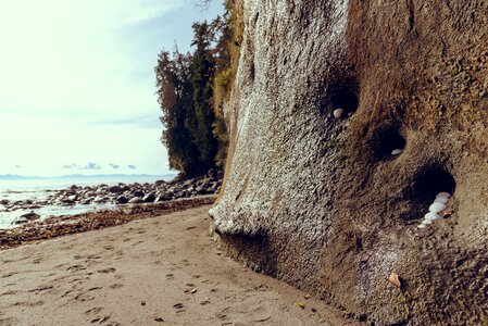 Rocks sand shells