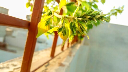 Warm happy freshness