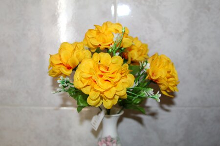 Yellow flowers Free photos