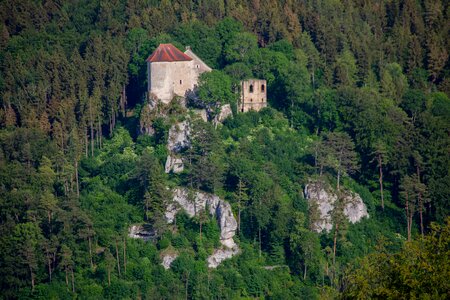 Ruin fairy tales fairy tale forest