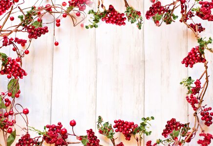 Red berries christmas holiday