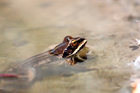 Body of water nature outdoors photo