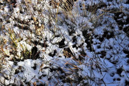 Overlap alpine winter