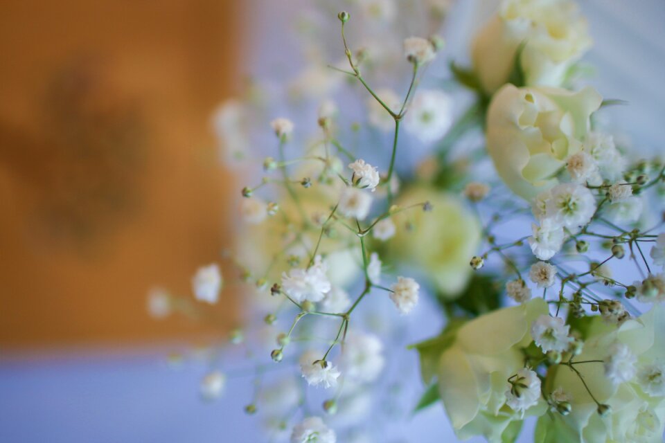 White celebration ceremony
