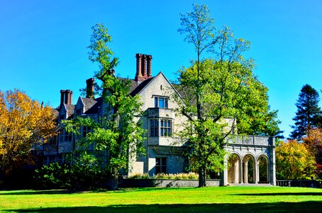 Autumn trees architecture photo