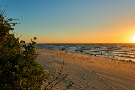 Baltic sea sea coast photo