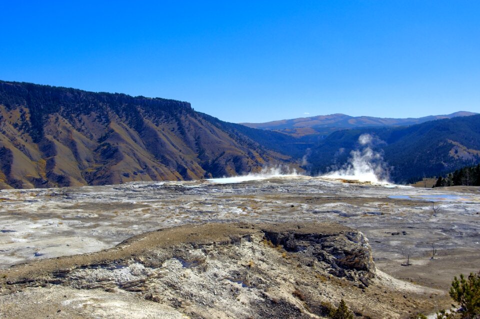 Yellowstone national park
