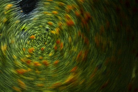 Beautiful pattern detail