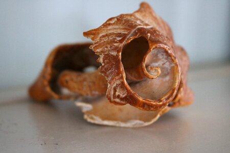 Old burnt sienna sharp edges