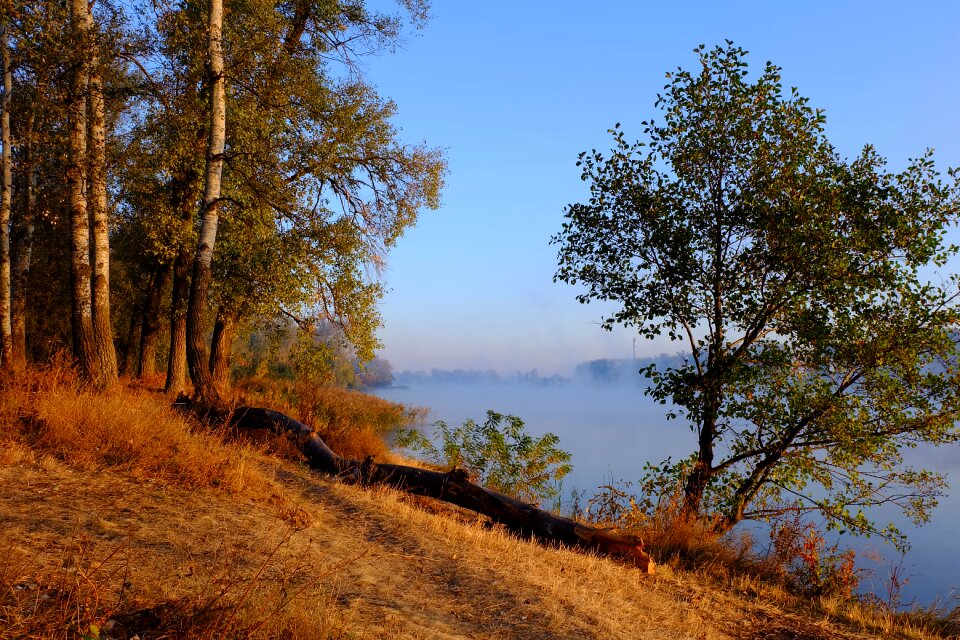 Fog landscape nature