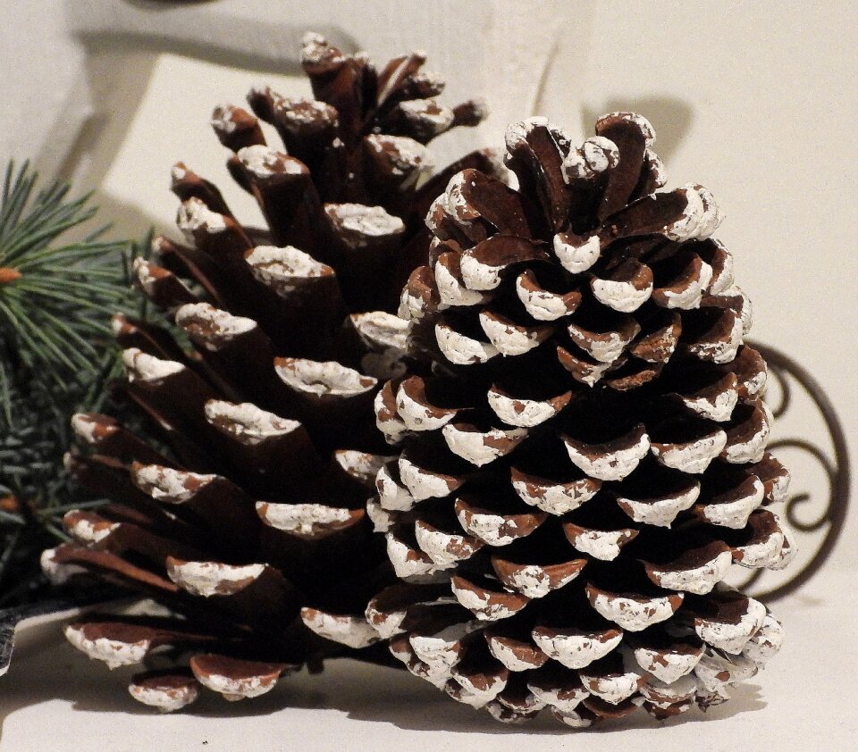 Nature winter decorative