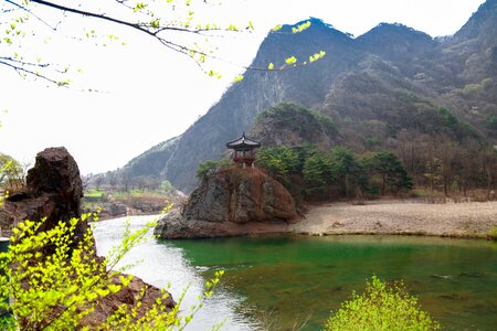 English gold areas korea