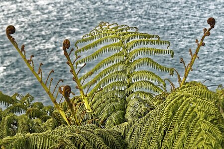 Nature new zealand south island