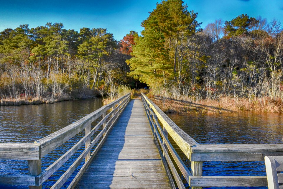 Scenic leaves water