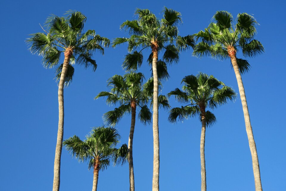 Vacations summer caribbean