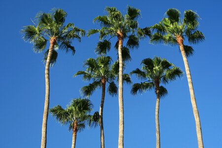 Vacations summer caribbean