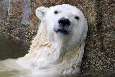 Nature threat sad