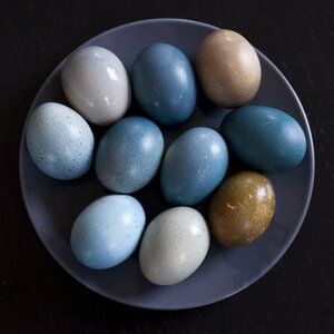 Easter eggs breakfast colored photo