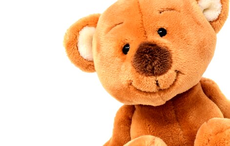 Animal teddy bear plush photo