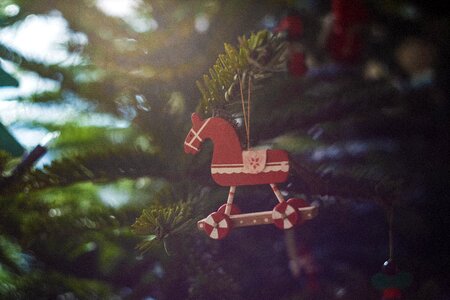 Decoration winter pine