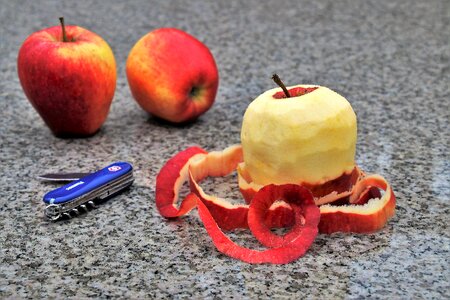 A pocket knife diet tasty